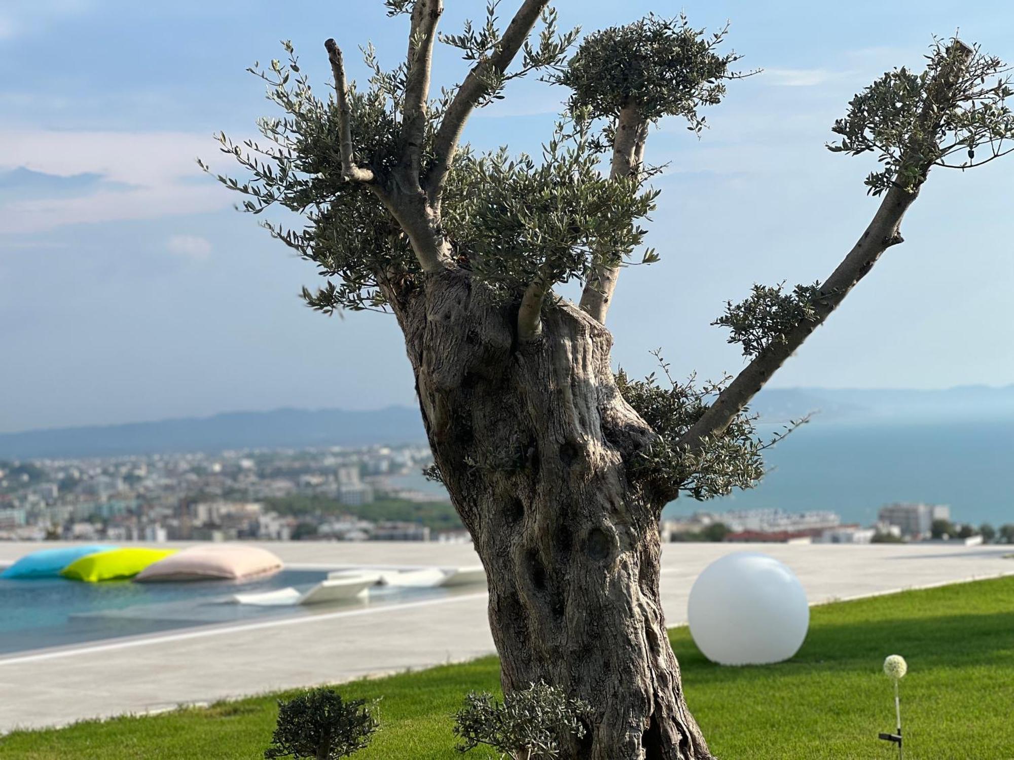 Villa Esmi Durres Kryemëdhej 외부 사진