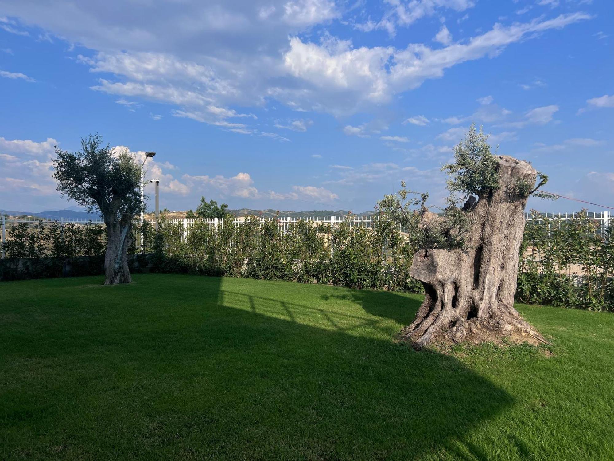 Villa Esmi Durres Kryemëdhej 외부 사진